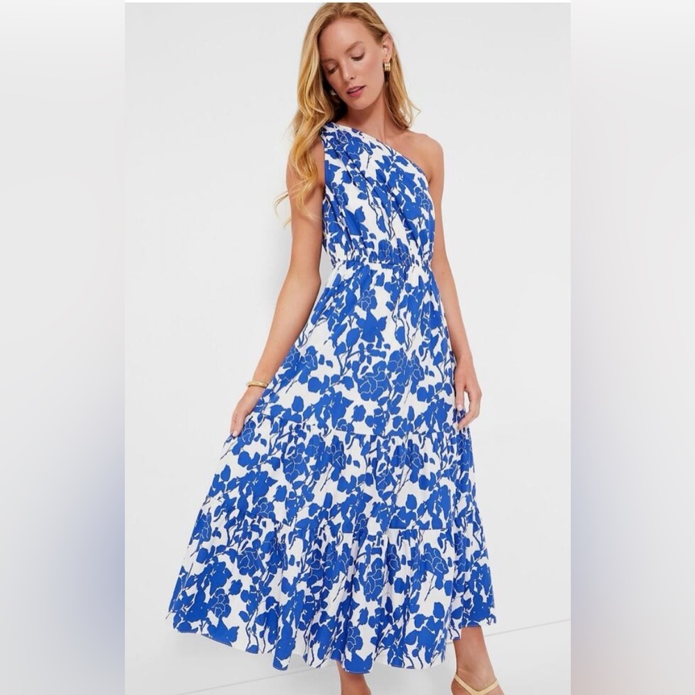 Tuckernuck Blue and White One-Shoulder Floral Maxi Dress - Picture 5 of 9